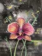 Botanical Series - Midnight Orchid